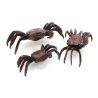Tenpai japonés bronce 174 pack 3 cangrejos deluxe Zuiun vista 2