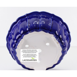 Bonsai pot FCH229 ZHANG ZHICHENG view 3