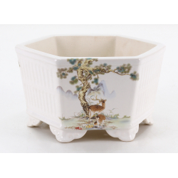 Bonsai pot FCH217 ZHANG ZHICHENG