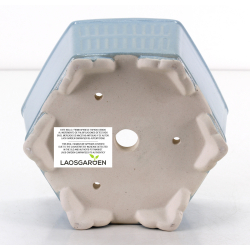 Bonsai pot FCH255 ZHANG ZHICHENG view 3