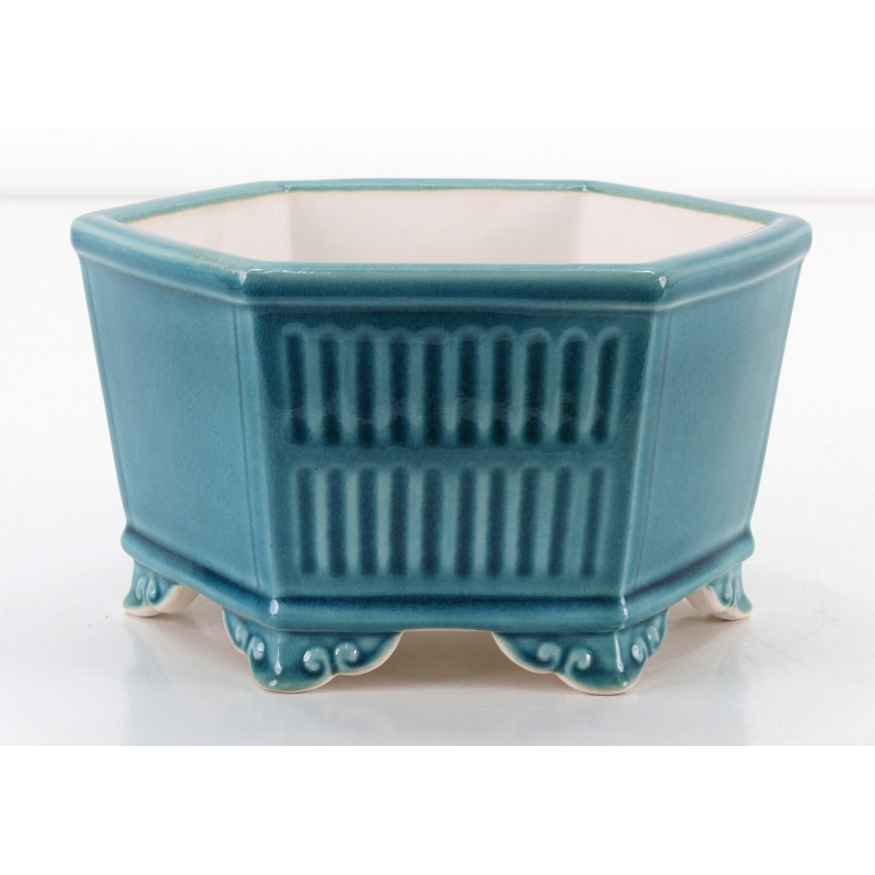 Maceta bonsái FCH223 ZHANG ZHICHENG