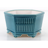 Bonsai pot FCH223 ZHANG ZHICHENG