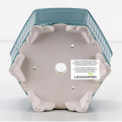 Bonsai pot FCH223 ZHANG ZHICHENG view 3