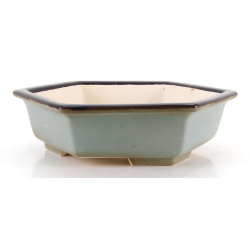 Bonsai pot FCH232 ZHANG ZHICHENG view 2