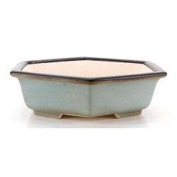 Bonsai pot FCH232 ZHANG ZHICHENG
