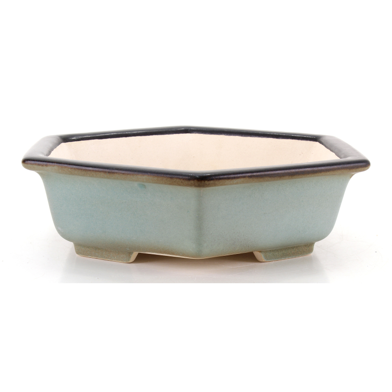 Bonsai pot FCH232 ZHANG ZHICHENG