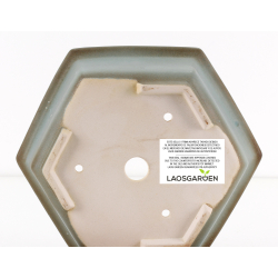 Bonsai pot FCH232 ZHANG ZHICHENG view 3