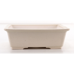 Bonsai pot FCH214 ZHANG ZHICHENG