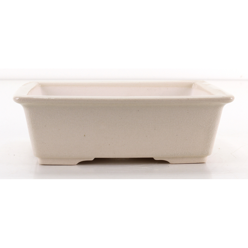 Bonsai pot FCH214 ZHANG ZHICHENG