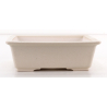 Bonsai pot FCH214 ZHANG ZHICHENG