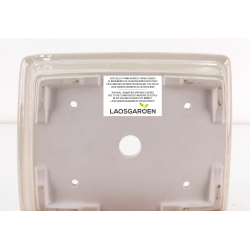 Bonsai pot FCH214 ZHANG ZHICHENG view 3