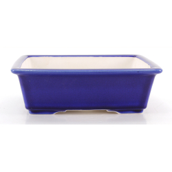 Bonsai pot FCH216 ZHANG ZHICHENG