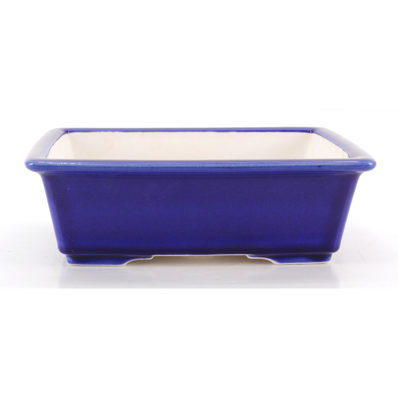 Bonsai pot FCH216 ZHANG ZHICHENG