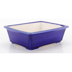 Bonsai pot FCH216 ZHANG ZHICHENG view 2