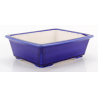 Bonsai pot FCH216 ZHANG ZHICHENG view 2