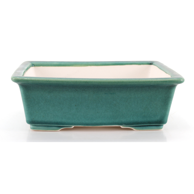 Bonsai pot FCH215 ZHANG ZHICHENG