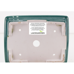 Bonsai pot FCH215 ZHANG ZHICHENG view 3