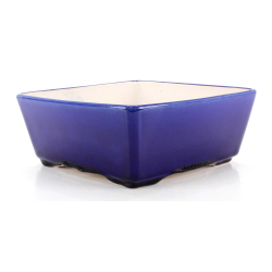 Bonsai pot FCH222 ZHANG ZHICHENG