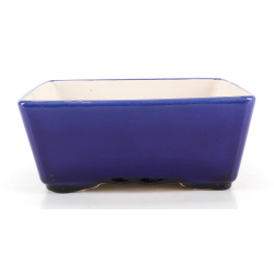 Bonsai pot FCH222 ZHANG ZHICHENG view 2