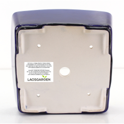 Maceta bonsái FCH222 ZHANG ZHICHENG vista 3