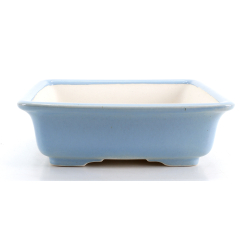 Bonsai pot FCH228 ZHANG ZHICHENG view 2