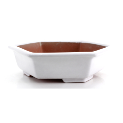 Maceta bonsái FCH231 ZHANG ZHICHENG vista 2