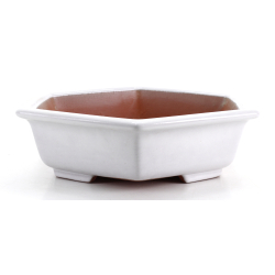 Bonsai pot FCH231 ZHANG ZHICHENG
