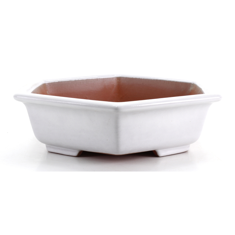 Bonsai pot FCH231 ZHANG ZHICHENG