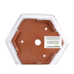 Bonsai pot FCH231 ZHANG ZHICHENG view 3