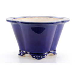 Bonsai pot FCH209 ZHANG ZHICHENG