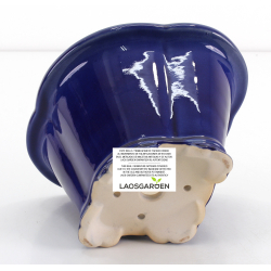 Bonsai pot FCH209 ZHANG ZHICHENG view 3