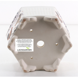 Bonsai pot FCH219 ZHANG ZHICHENG view 3