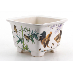 Bonsai pot FCH228B ZHANG ZHICHENG