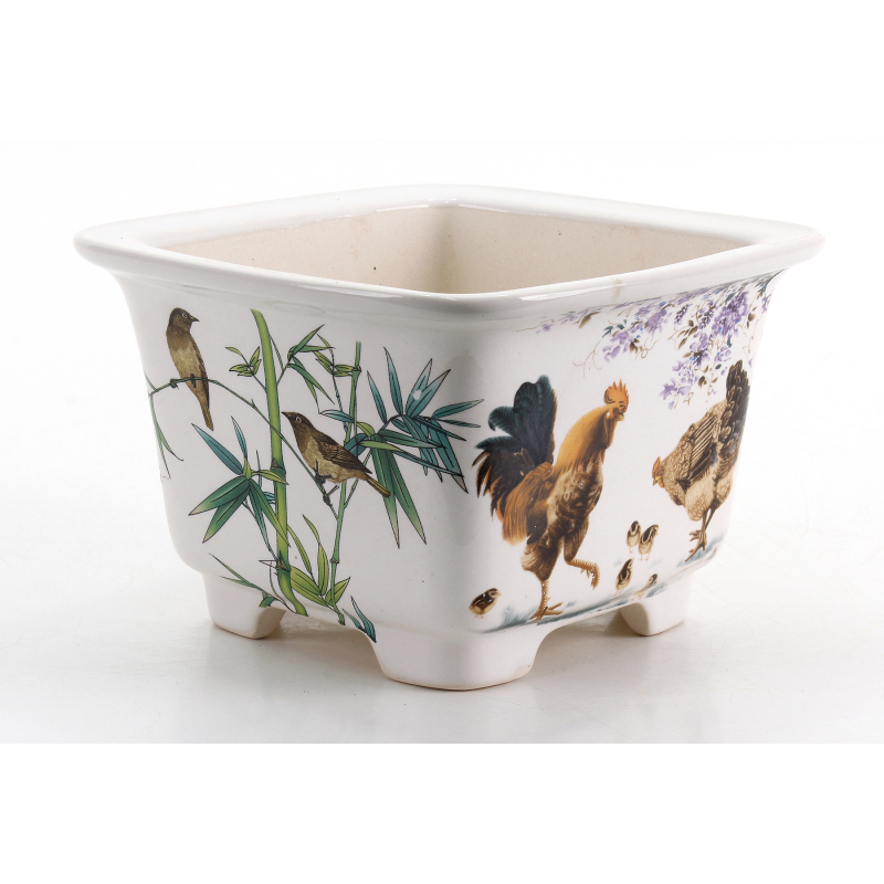 Bonsai pot FCH228B ZHANG ZHICHENG