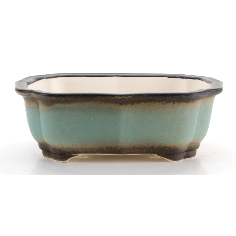 Bonsai pot FCH224 ZHANG ZHICHENG