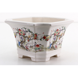 Bonsai pot FCH208 ZHANG ZHICHENG