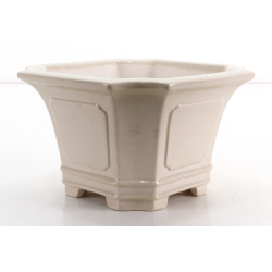 Bonsai pot FCH211 ZHANG ZHICHENG