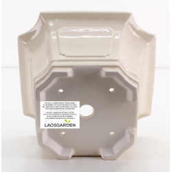 Bonsai pot FCH211 ZHANG ZHICHENG view 3