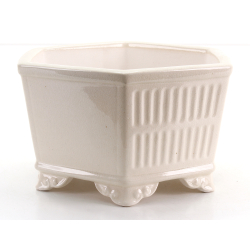 Bonsai pot FCH238 ZHANG ZHICHENG