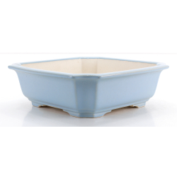 Bonsai pot FCH212 ZHANG ZHICHENG