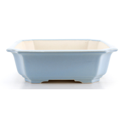 Bonsai pot FCH212 ZHANG ZHICHENG view 2