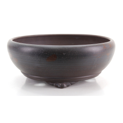 Bonsai pot JTA8703 AKIRA SHOUZAN AKIRA