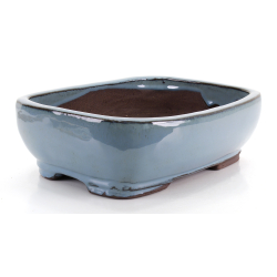 Bonsai pot CCHI33B view 2