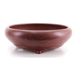 Bonsai pot JTA8705 AKIRA SHOUZAN AKIRA