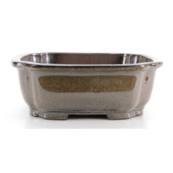 Bonsai pot CHN10A