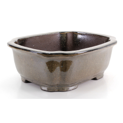 Bonsai pot CHN10A view 2