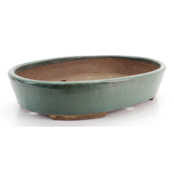 Bonsai pot JTA8698 EJIRI TAIZAN view 2