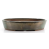 Bonsai pot JTA8697 EJIRI TAIZAN