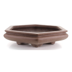Bonsai pot JTA8711 SENKOUEN