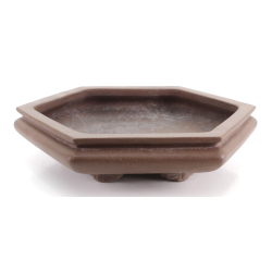 Bonsai pot JTA8711 SENKOUEN view 2